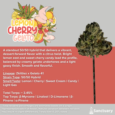 Shop Whole Buds - Lemon Cherry Gelato | Sanctuary - Woburn REC