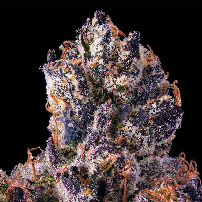 Image 6 for Sticky Grapez [3.5g], a indica product