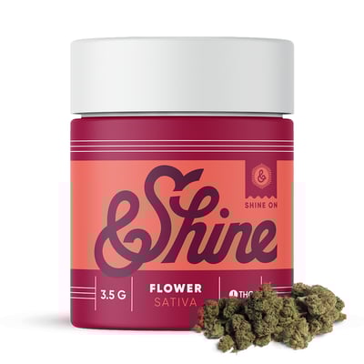 【Sativa】 Jack Herer 1ml CBD 10 Flower | Jack Herer 1g Flower | Cannabis Nation |