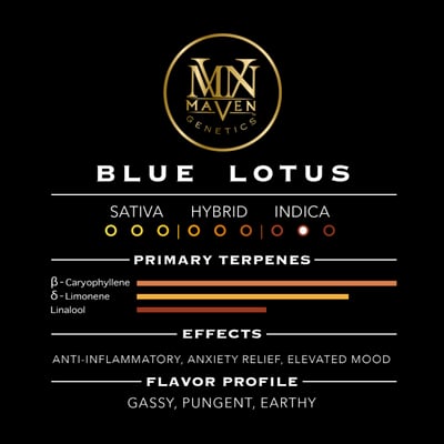 Image 11 for Blue Lotus Pre-Roll [1g], a indica product