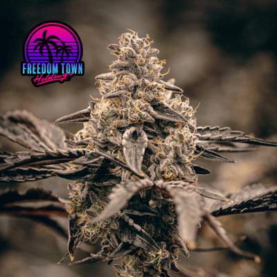 Shop Carbon Fiber | FLUENT - Chase Street Dispensary Pensacola, FL