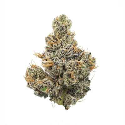 weed Original Z x Animal Mints Strain - Hybrid Cannabis Review, 22.6