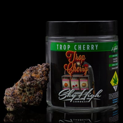 Shop Trop Cherry | High Point Cannabis Dispensary Kingston, WA