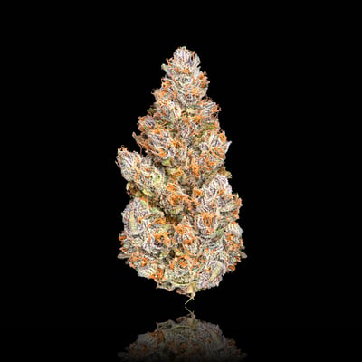 Image 5 for BluZangria Goldies Infused Pre-Rolls 5-Pack [3g], a sativa product