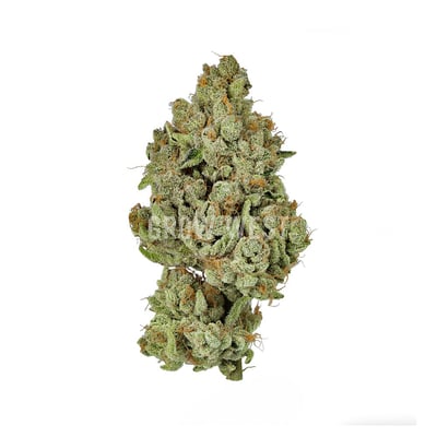 Image 1 for Starboom, a hybrid product