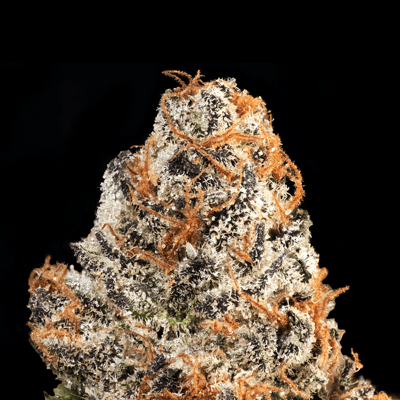Image 5 for Cherry Gas [3.5g], a indica product