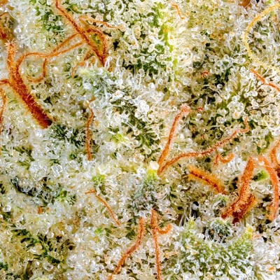 Image 7 for SFV OG All-In-One Gold Blend [1000mg], a hybrid product