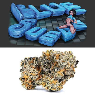 Shop Blue Suede 🔵 | Scarlet Reserve Room Dispensary Englishtown, NJ