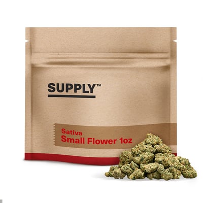 Image 5 for Chemex, a sativa product