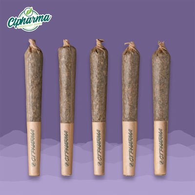 ctp tobacco Shop Scout Breath - CTP Shorties I 26643 | Budr