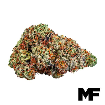 Shop Blue Beach Haze | Terra Pharm Dispensary - Penn Hills