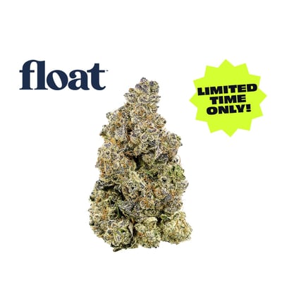 Shop Pine Zap F2 | Surterra Wellness - Tampa Dispensary Tampa, FL