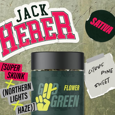 Shop Jack Herer | BEYOND / HELLO - Normal (MED) Dispensary Normal, IL