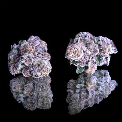 Image 7 for 98 Reserve Gold Blend, a indica product Image 7 for 98 Reserve Gold Blend, a indica product
