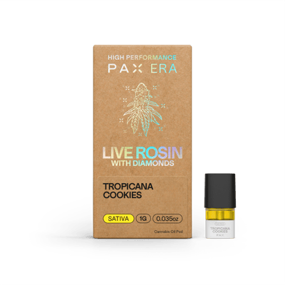 best refillable vape usa The 5 Best Refillable Pod Vapes