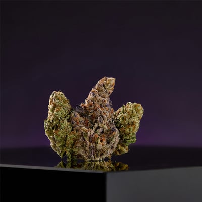 Iverson '01 Viola Flower RISE Dispensary