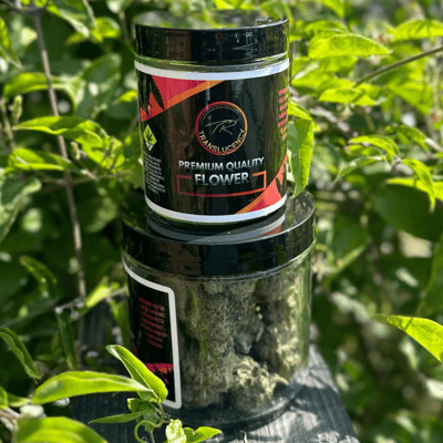 Shop Candy Burst [4g] | Joint Rivers Dispensary South Auburn, WA