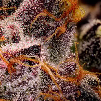 Shop Zuddz | GraniteLeaf Cannabis - Chichester Dispensary