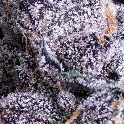 Image 5 for Prizm Pre-Roll [1g], a indica product