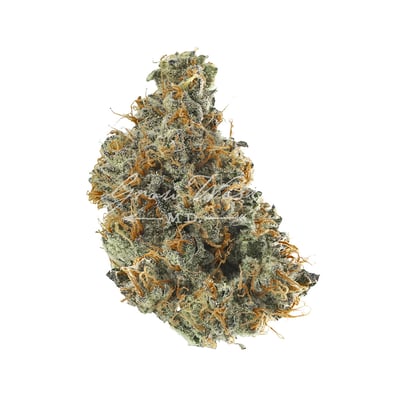 Image 1 for Don Carlos, a indica product Image 1 for Don Carlos, a indica product