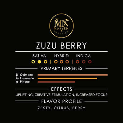 Image 11 for ZuZu Berry Maven Minis [14g], a sativa product