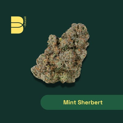 Shop Mint Sherbert | River Bluff Cannabis Dispensary Roselle, IL