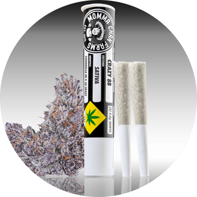 Shop Crazy 88 [.5g] | Joint Rivers Dispensary South Auburn, WA