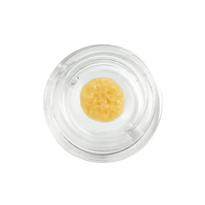 Image 2 for Cranberry Z, a indica product Image 2 for Cranberry Z, a indica product