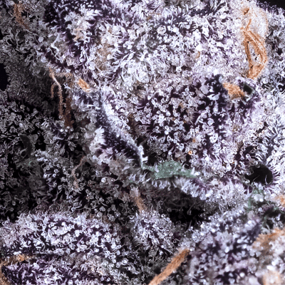 Image 5 for Prizm All-In-One Gold Blend [1000mg], a indica product
