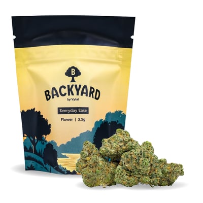 Shop Grape Zest Diesel | Vytal Options - Lansdale Dispensary