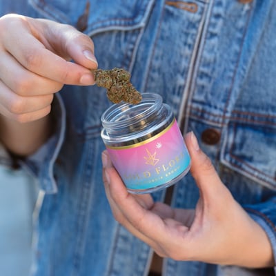 Image 5 for Bacio Gelato, a indica product