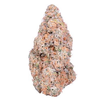 weed Glue31 (F) [JOKERZ DROP] – Buy Cannabis Seeds Online | North