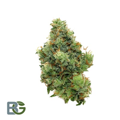 専用＊ Jumbo bottleドライフラワーボトル　グリーン① 88be64cf136ea6059de48047891f07