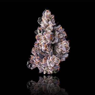 Image 5 for Dirty Laundry Goldies Infused Pre-Rolls 5-Pack [3g], a indica product