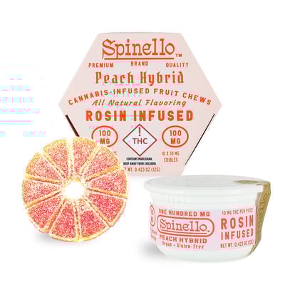 リンチシルバースミス　 \"INDICA CONCHO\" リンチシルバースミス 