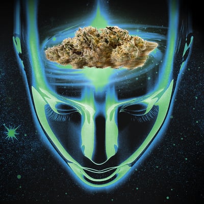 Image 2 for Brownie Scout, a indica product