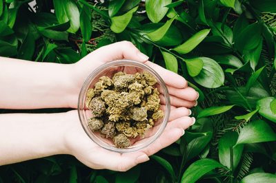 Leaf & Vine brand page image