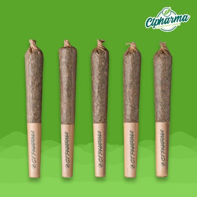 Shop Zuava Shorties H 26748 | Bluepoint Wellness Dispensary