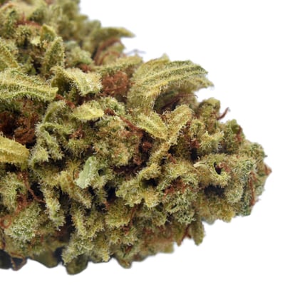 Shop Hella Jelly | Solful - Sebastopol Dispensary Sebastopol, CA