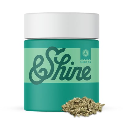 Shop Golden Rollz | Terrapin Care Station