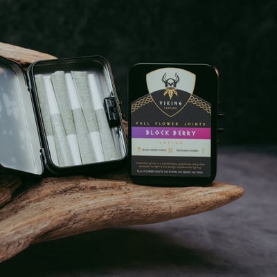 viking vape VapSolo Viking 12000 12K Puffs Disposable Vape 2% 5% Nicotine 15Tastes  Ajustable Airflow LCD Display Factory Direct