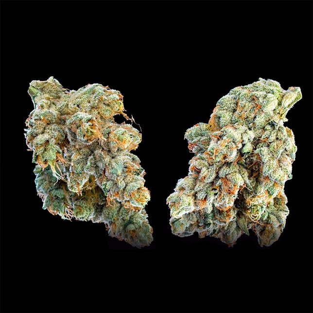 SFV OG Pre-Roll 5-Pack (2.5g) - Image 4