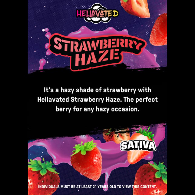 0.75g - Infused Strawberry Haze  - Image 2