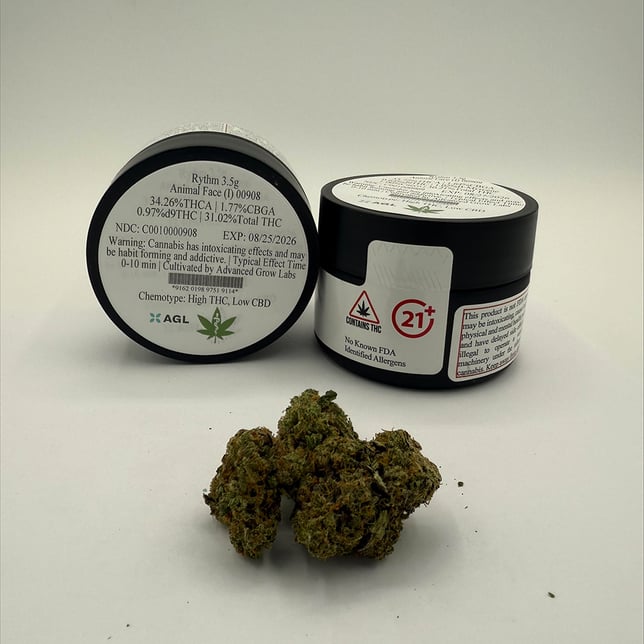 Rythm - Animal Face (I) Flower  C0010000908 - Image 2