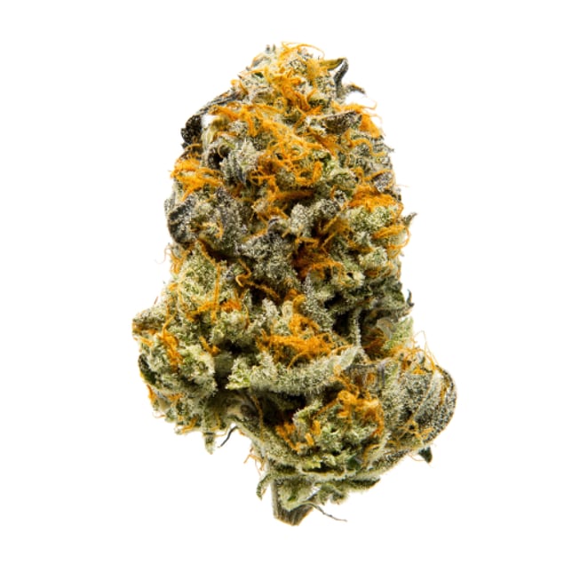 Clockwork Pineapple - Image 3