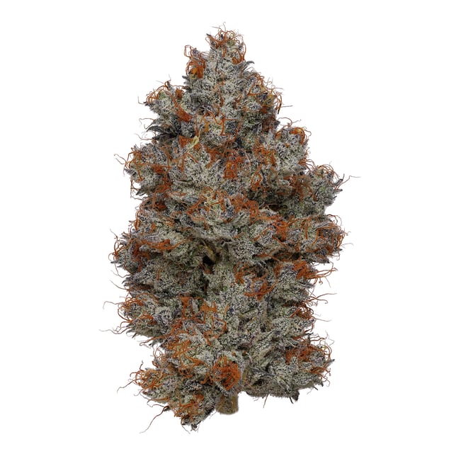 Sideshow - Image 2 Sideshow - Image 2