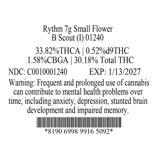 Rythm - B Scout (I) Smalls  C0010001240 - Image 3