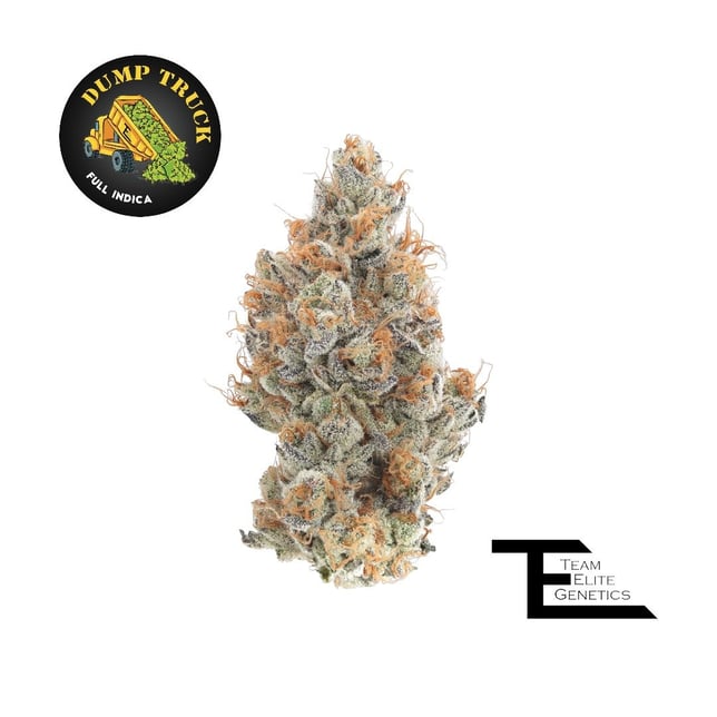 Dump Truck - Image 1 Dump Truck - Image 1