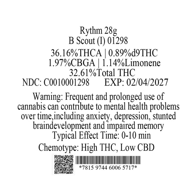 Rythm - B Scout (I) Flower  C0010001298 - Image 3