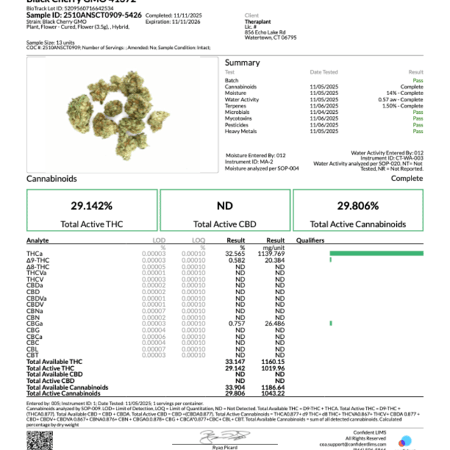 Theraplant - Black Cherry GMO (H) Flower  C0040001372 - Image 3